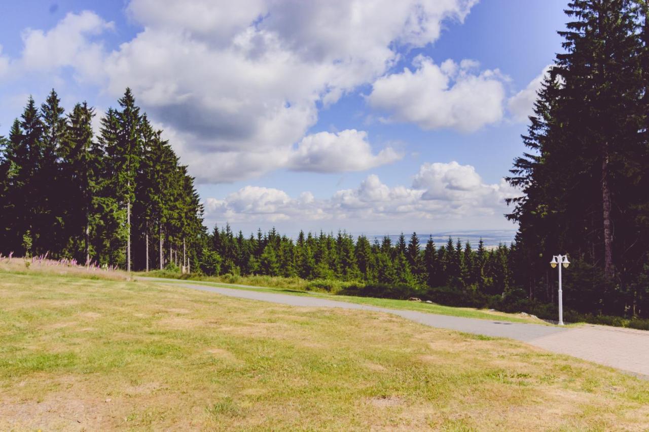 Hotel und Berggasthof Spießberghaus am Rennsteig photo 3