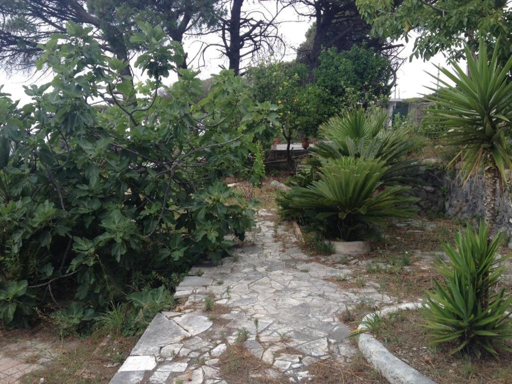 Villa Gianna - 4