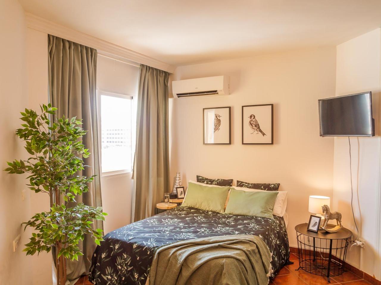 Photo - Amazing Studio Torremolinos