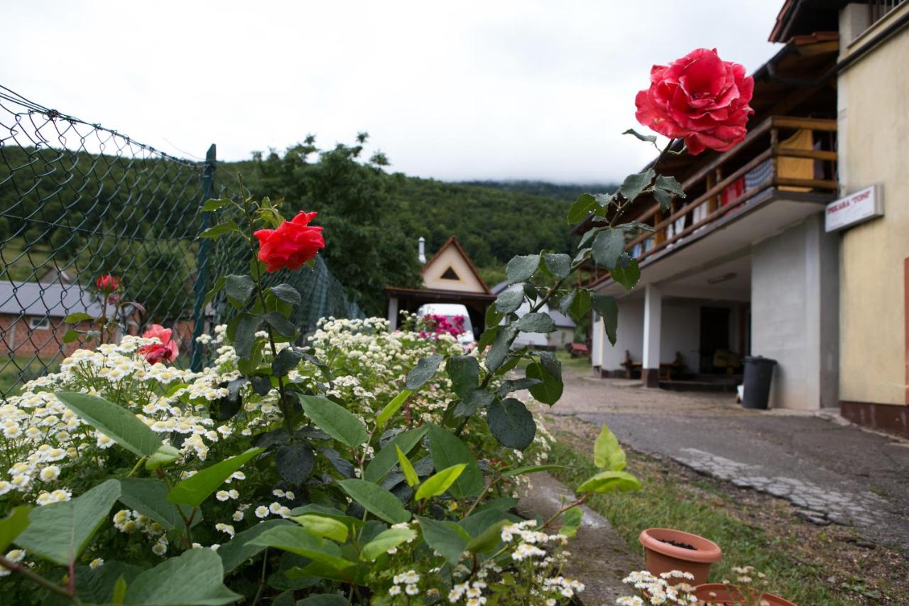 Apartmani Ruza - 3