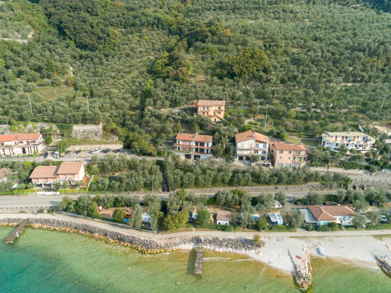 Madonna Dell'Aiuto True View Olivo