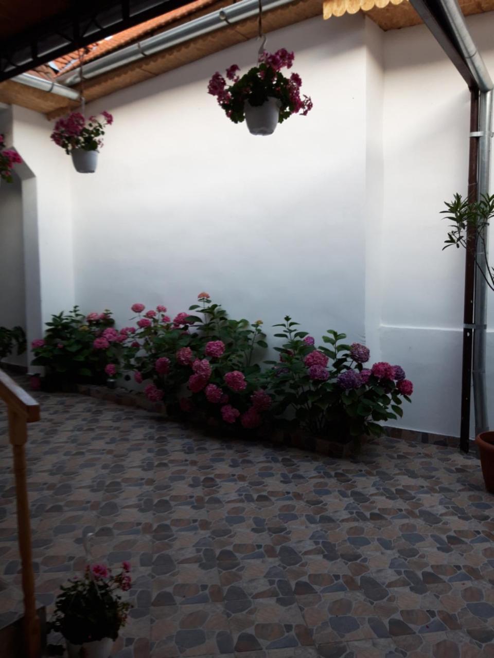 Casa Valea Morilor photo 2