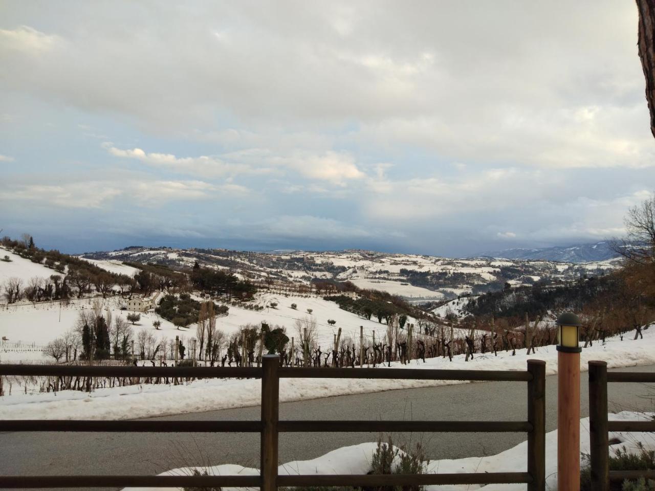 Agriturismo "Le Piagge" photo 4