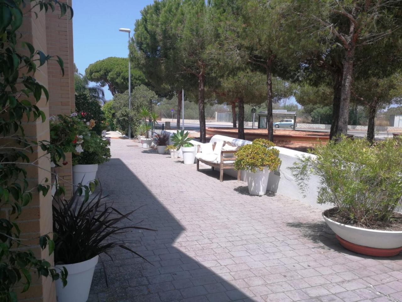 Hotel Marisma Sancti Petri photo 4