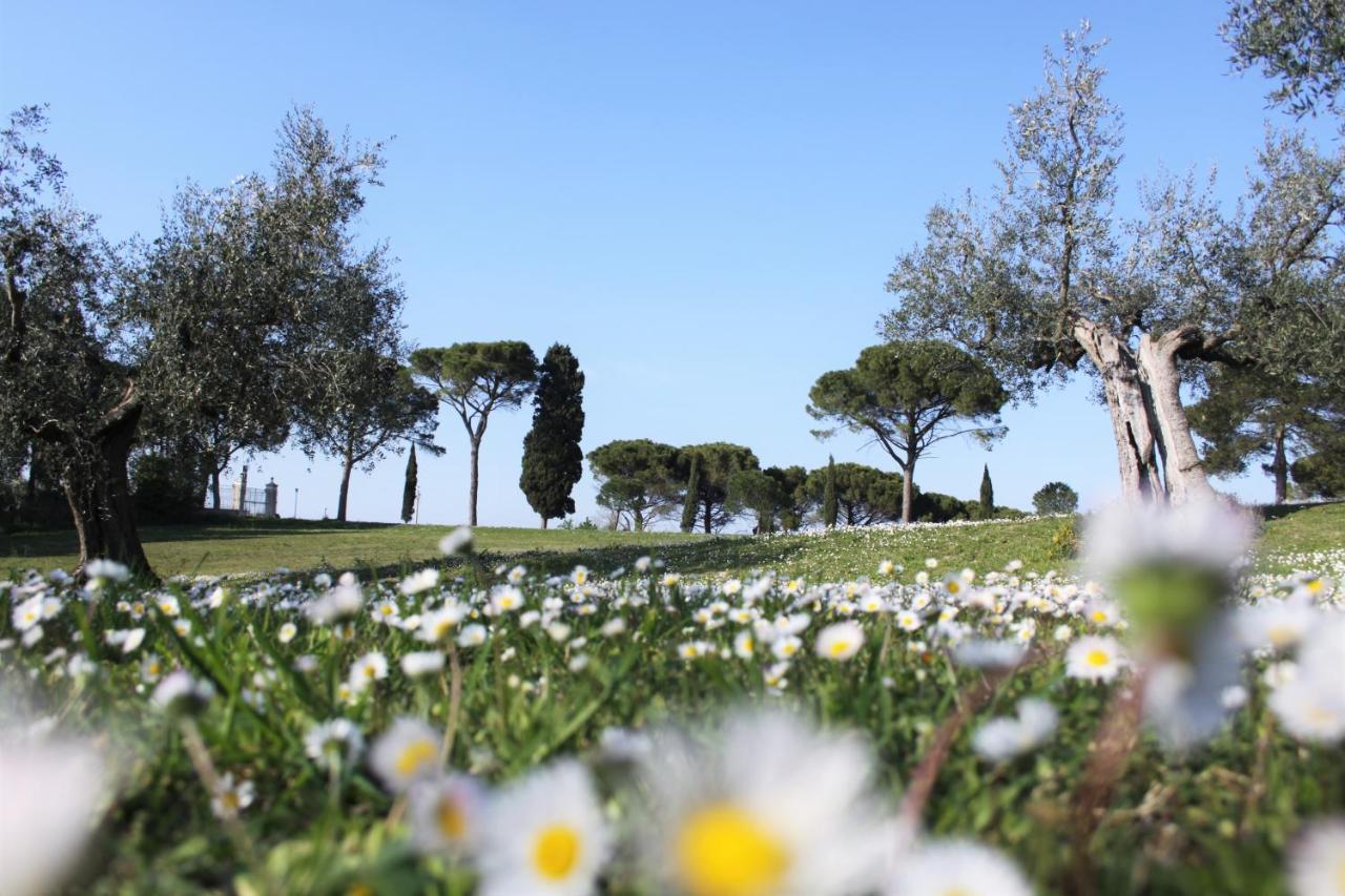 Il Pignocco Country House photo 4