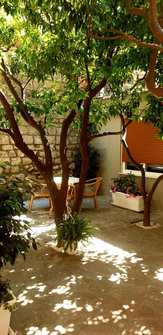 Casa Dominova de Luxe - 6