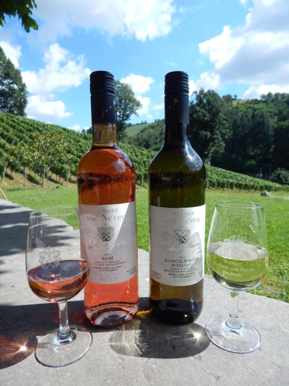 Wein Lodge Durbach - Schlossblick - 5