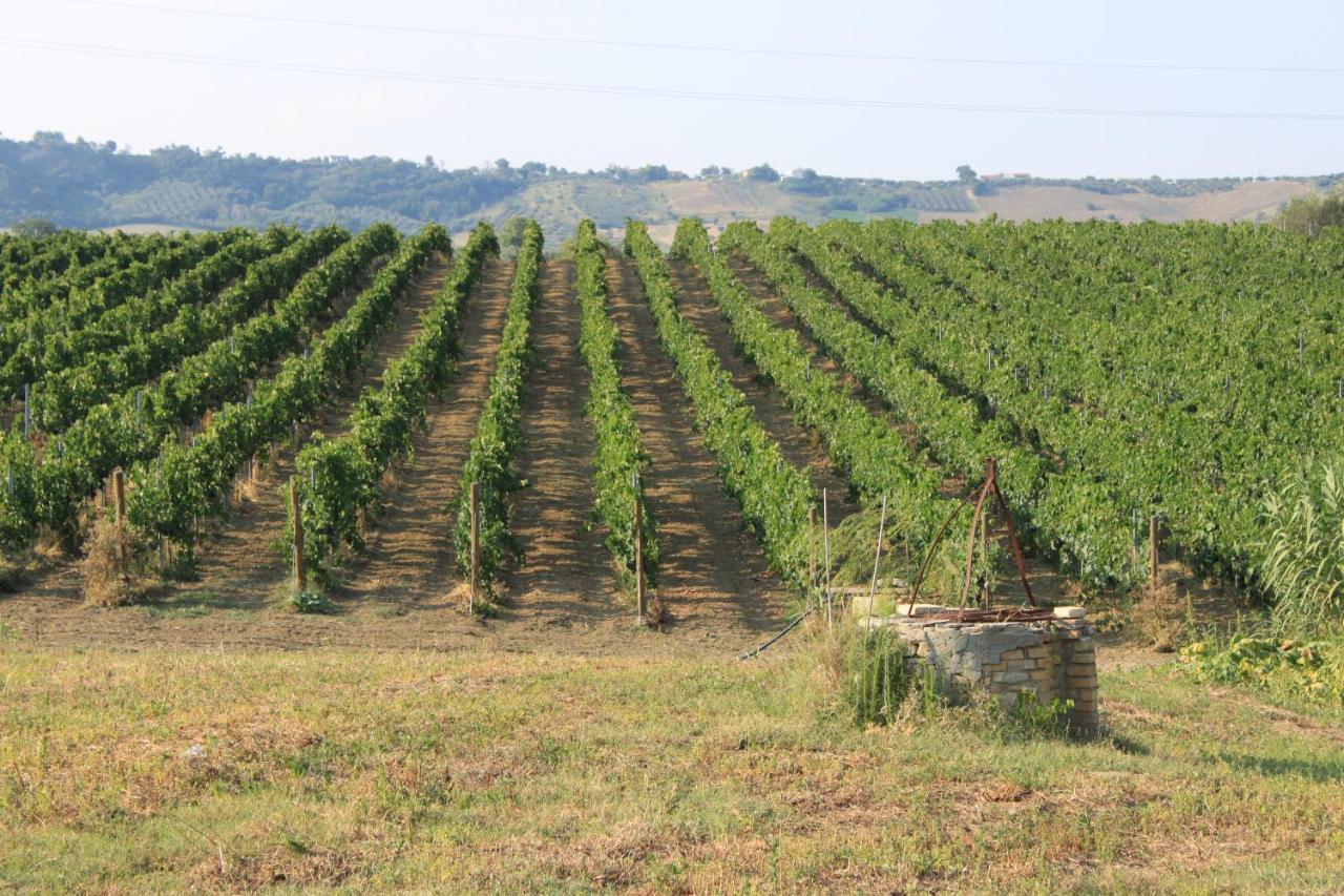 Agriturismo Rosso di Sera photo 2
