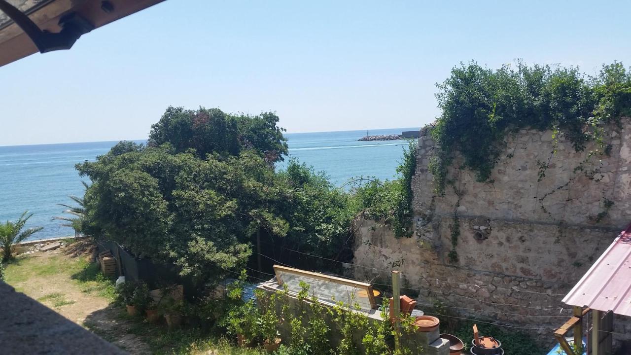 Photo - Ristorante Maga Circe