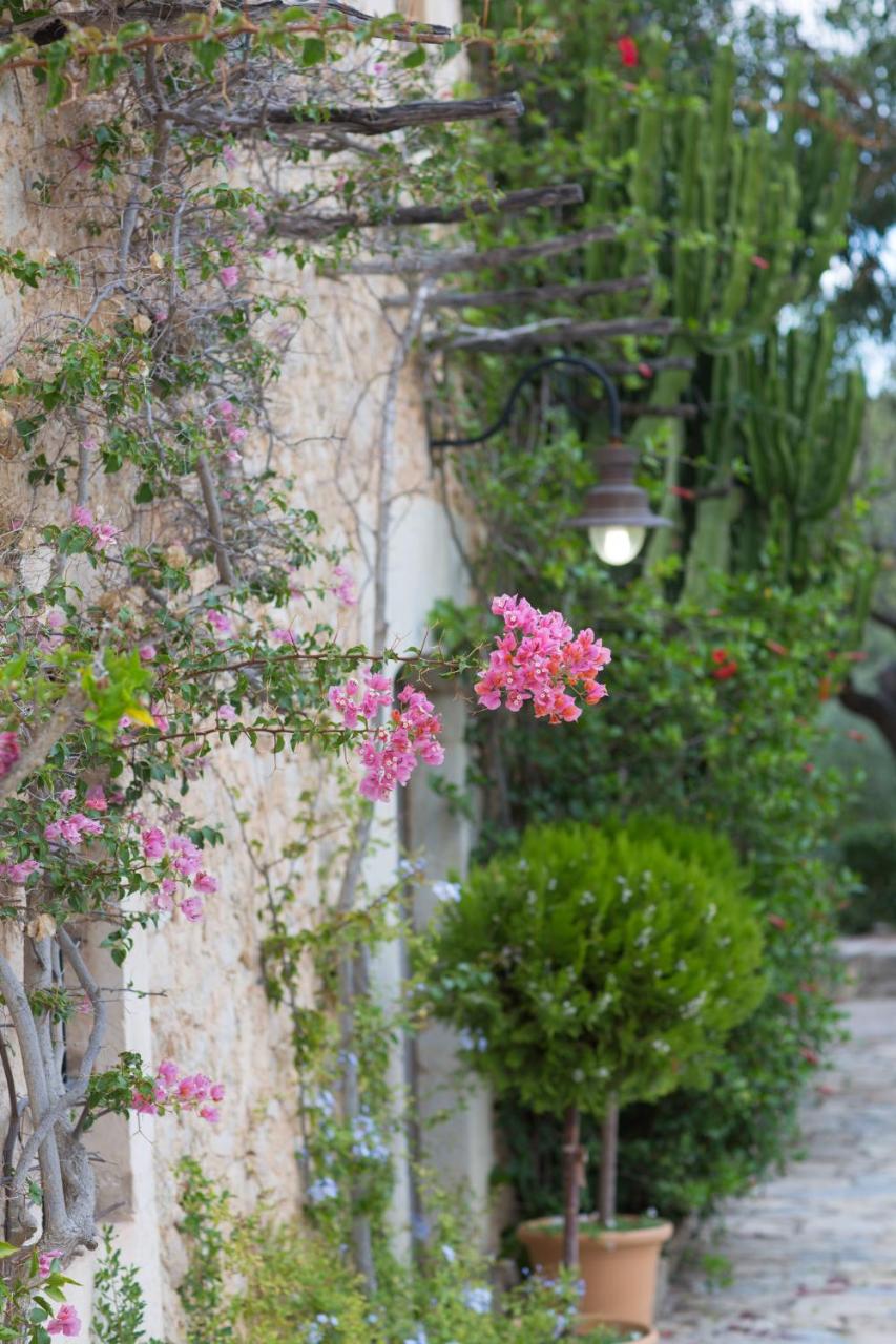Finca Son Ametler photo 2