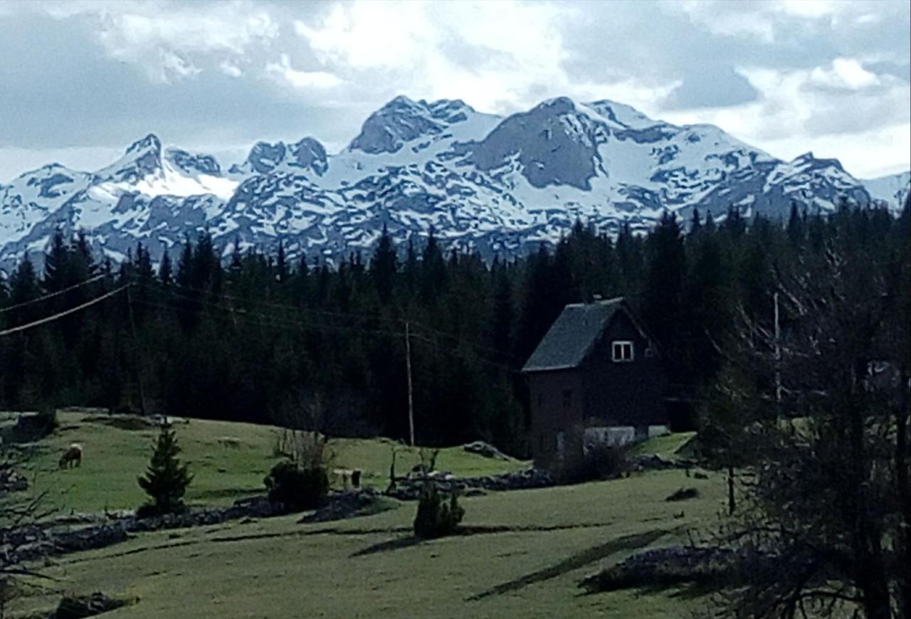 Village house Popovic photo 3