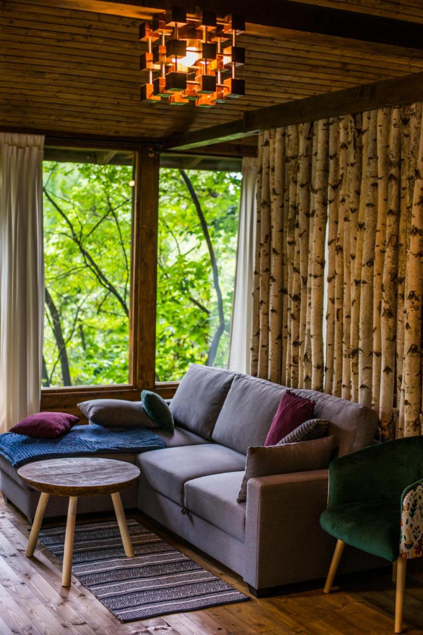 Porumbacu Treehouse photo 4