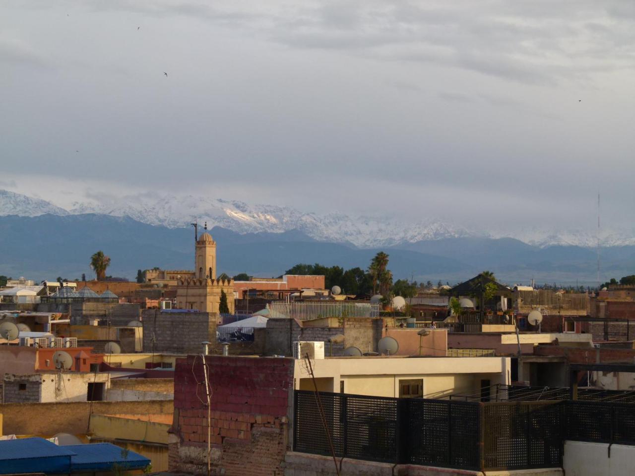 Riad Andalla photo 3