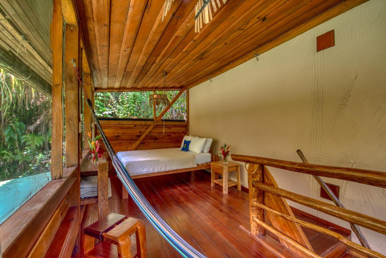 Omega Tours Eco-Jungle Lodge photo 2
