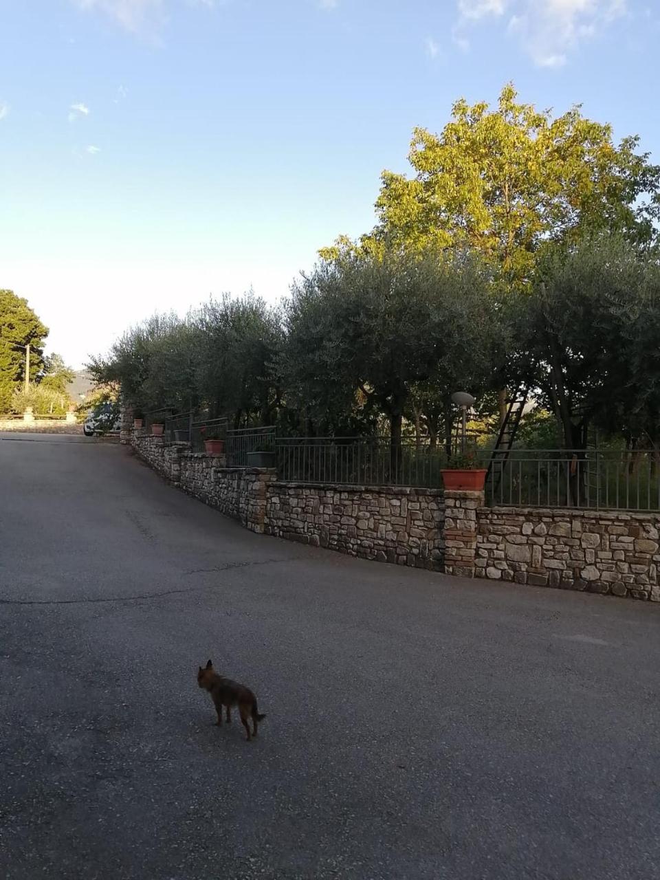 B&B Da Felice photo 2
