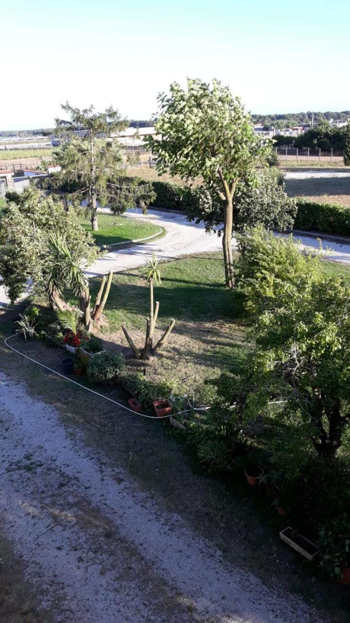 Casa Vacanze nel Verde a 5 Km dal mare - 2