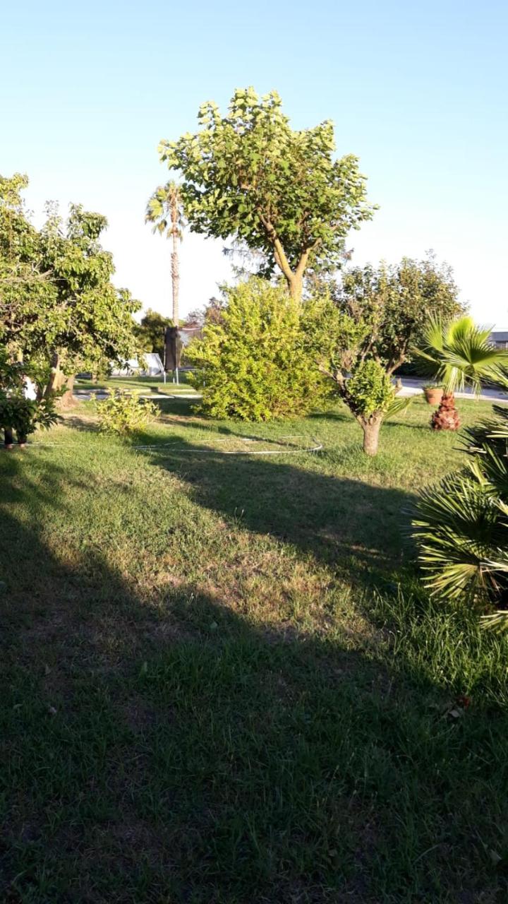 Casa Vacanze nel Verde a 5 Km dal mare - 3