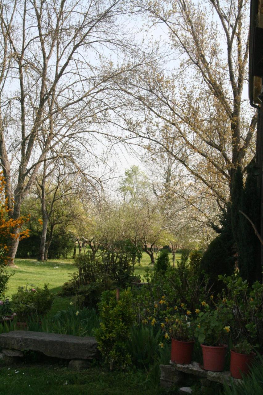 Agriturismo Corte San Girolamo photo 4