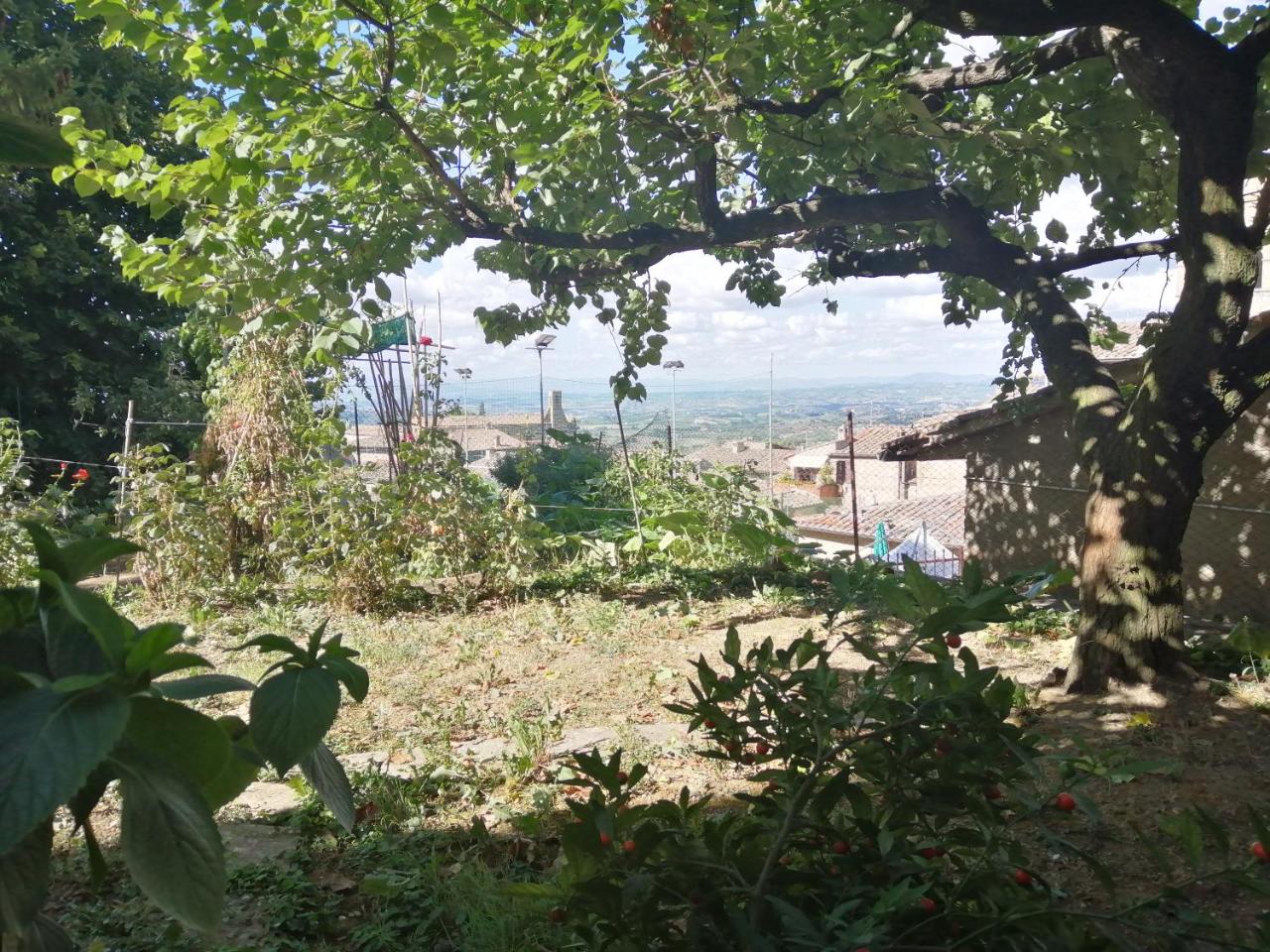 Orto di Emma - 2