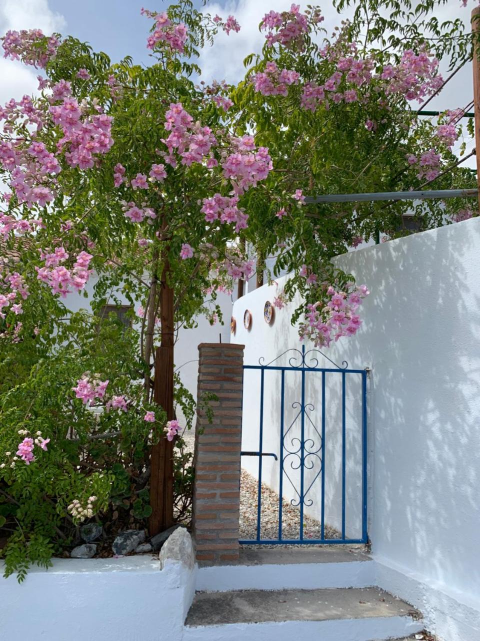 La Casita Blanca- La Almona Chica photo 3
