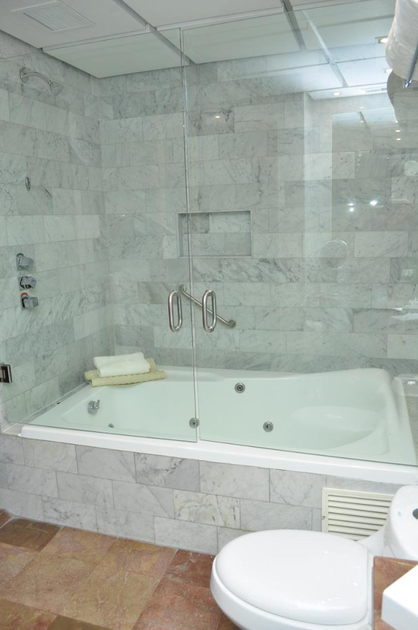Royal Pedregal photo 4