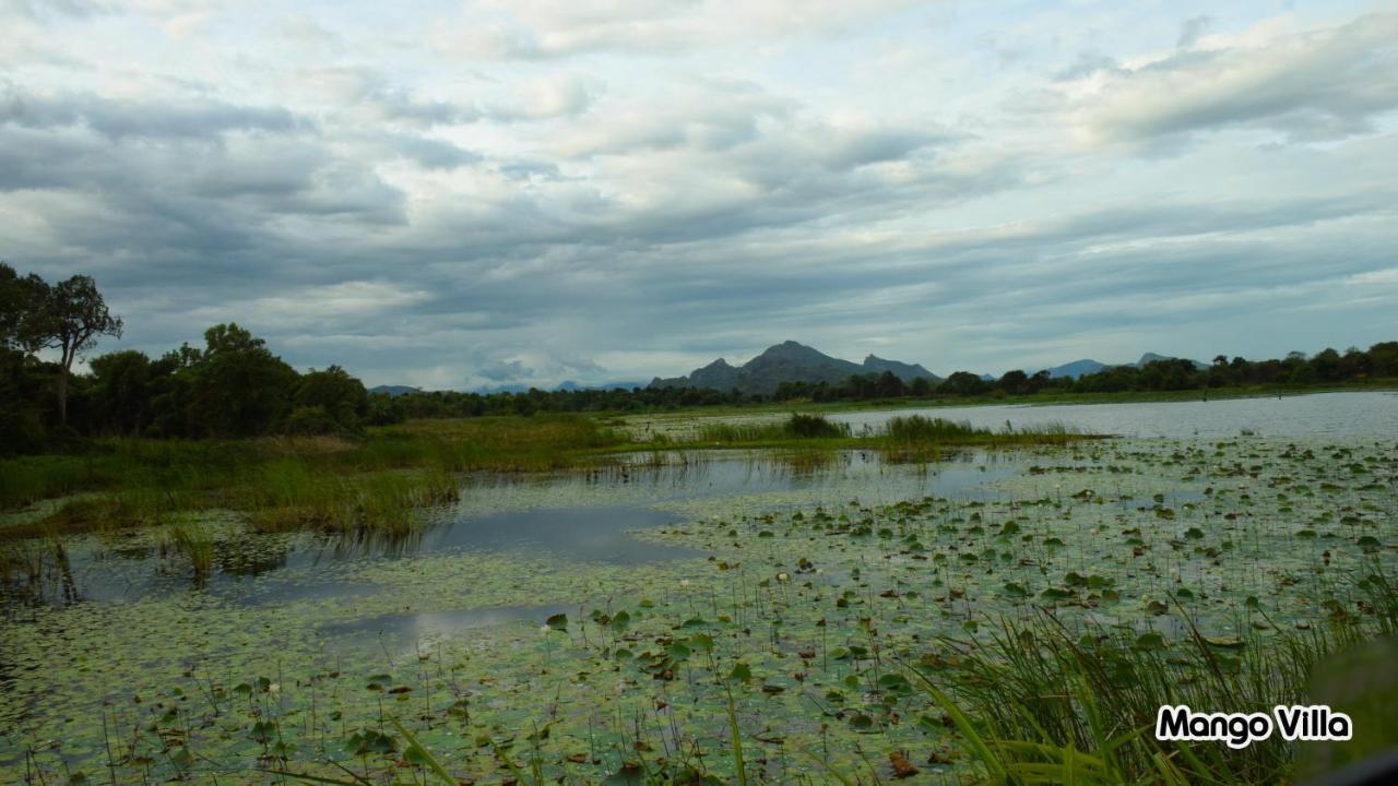 Mango Villa Sigiriya photo 2