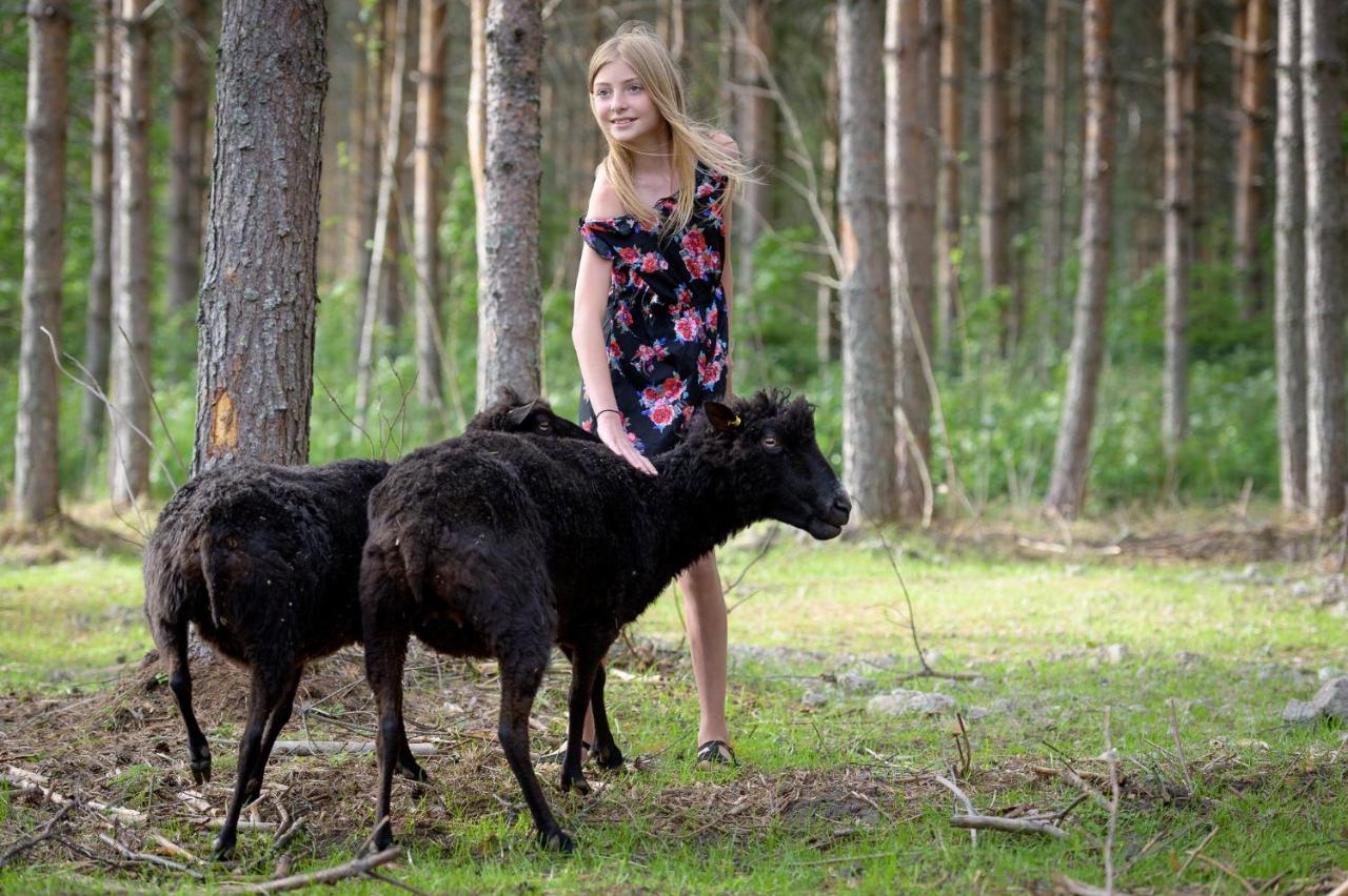 Maatilamatkailu Ilomäki photo 4