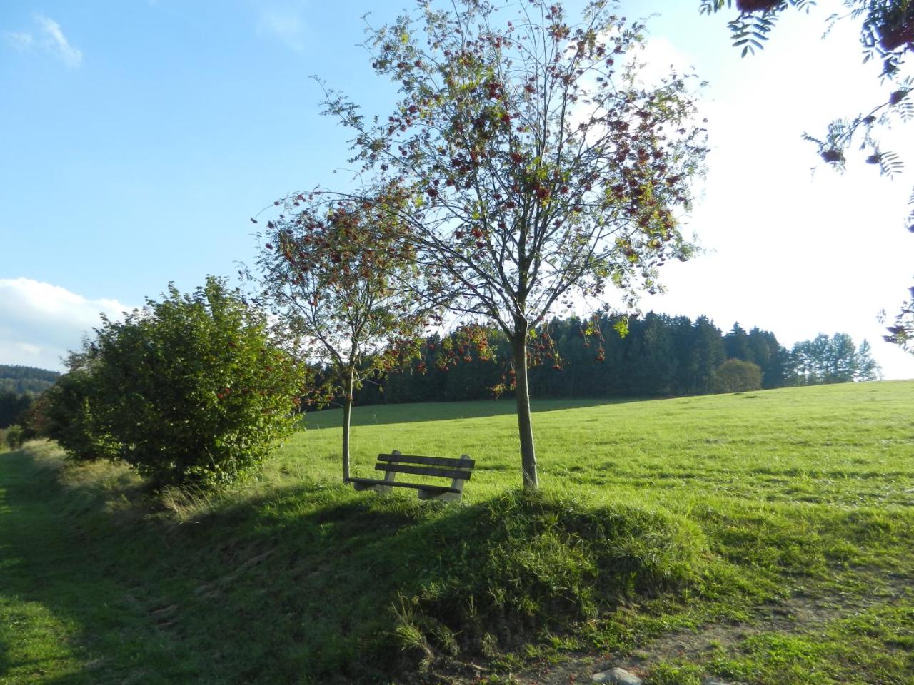 Waldgasthof & Hotel Am Sauwald photo 2