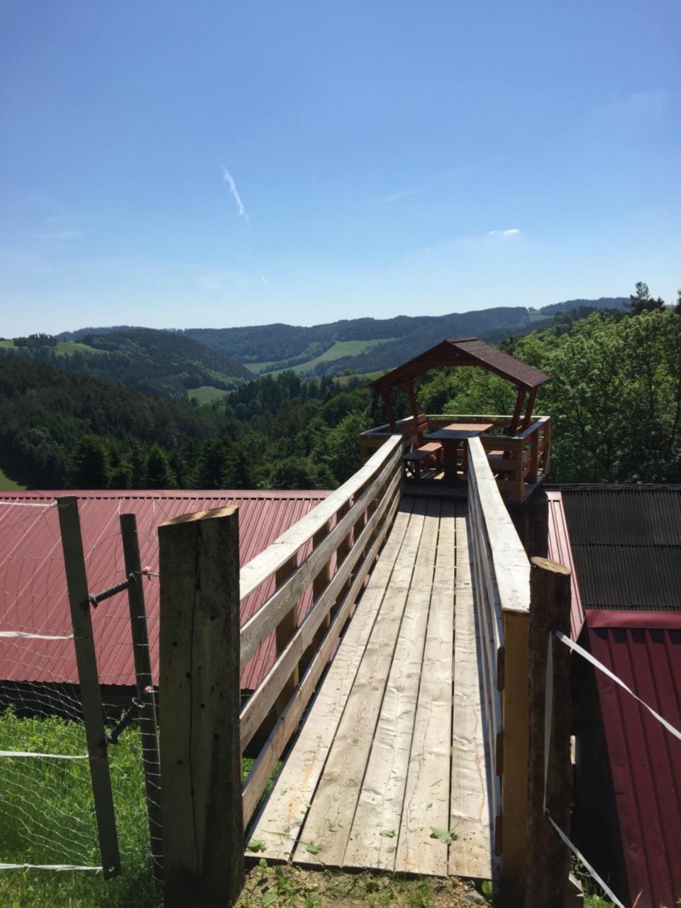 Haflingerhof Luef photo 2