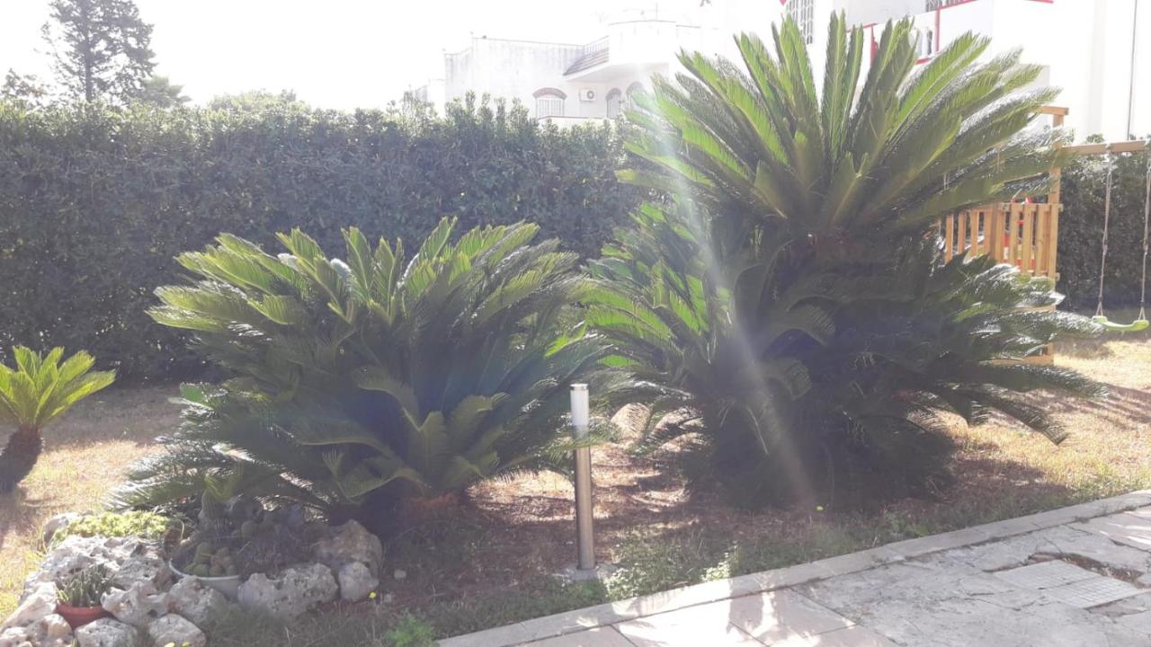 Foto - Villa Del Mar