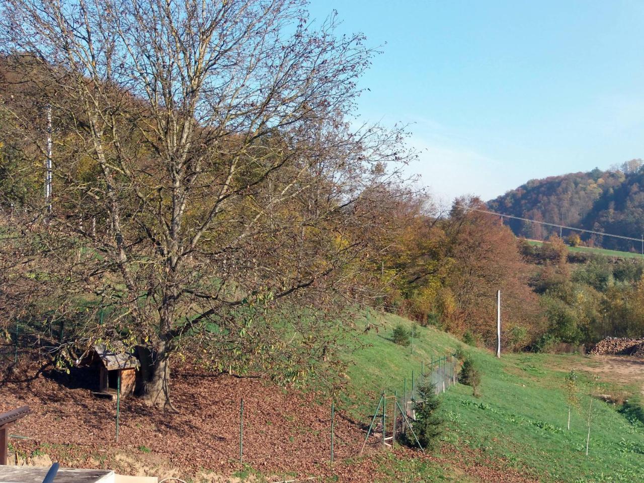 Hotel Amarilis photo 2