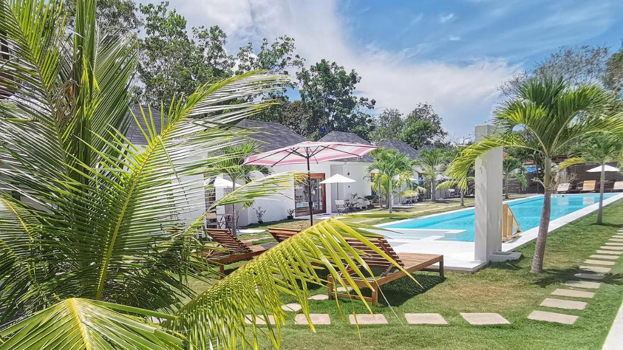Island World Panglao photo 3