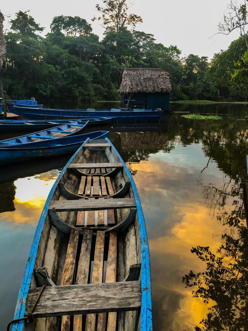 Amazon Muyuna Lodge - All Inclusive photo 2