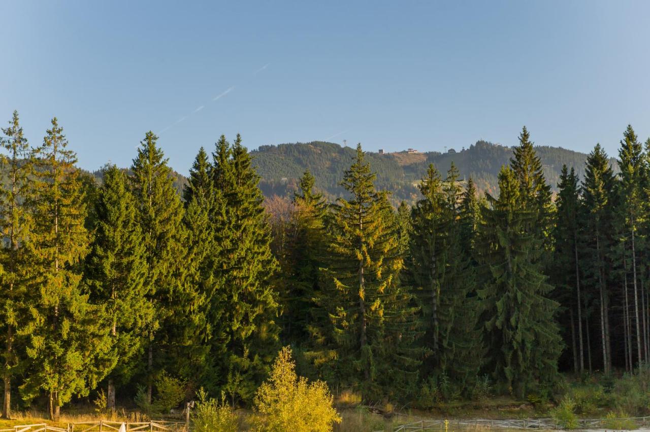 Nature Retreat 2 bedroom apartment Silver Mountain - 5