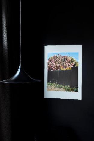 Light luxury Moss Hotel Suzhou Mudu Ancient Town