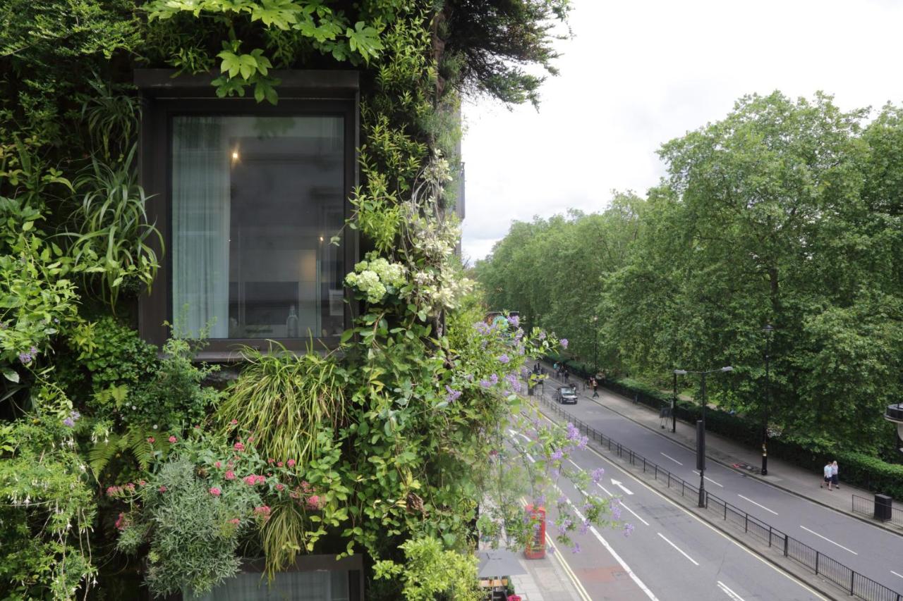 The Athenaeum Hotel & Residences - 6