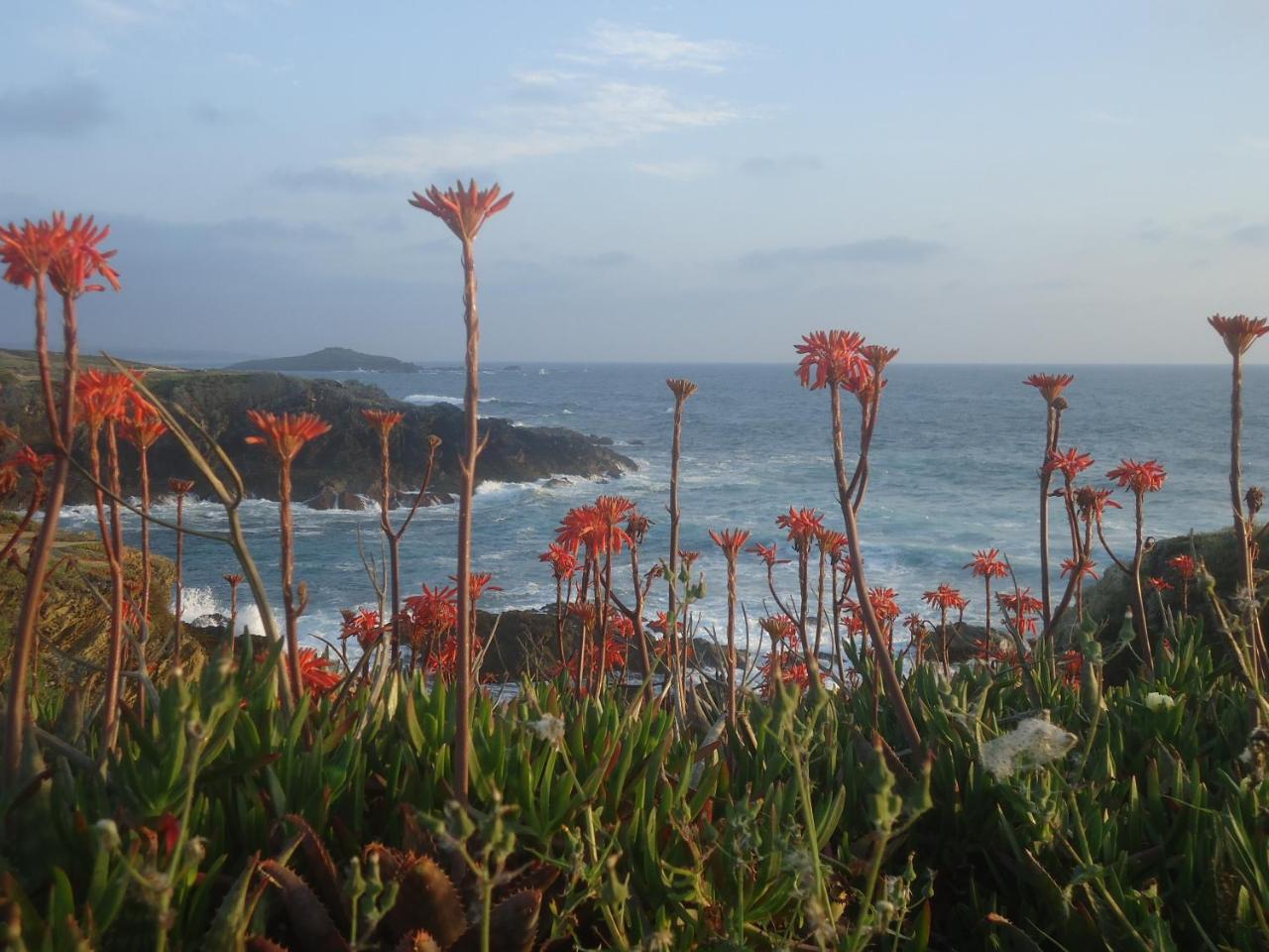 Herdade dos Montes Bastos photo 4