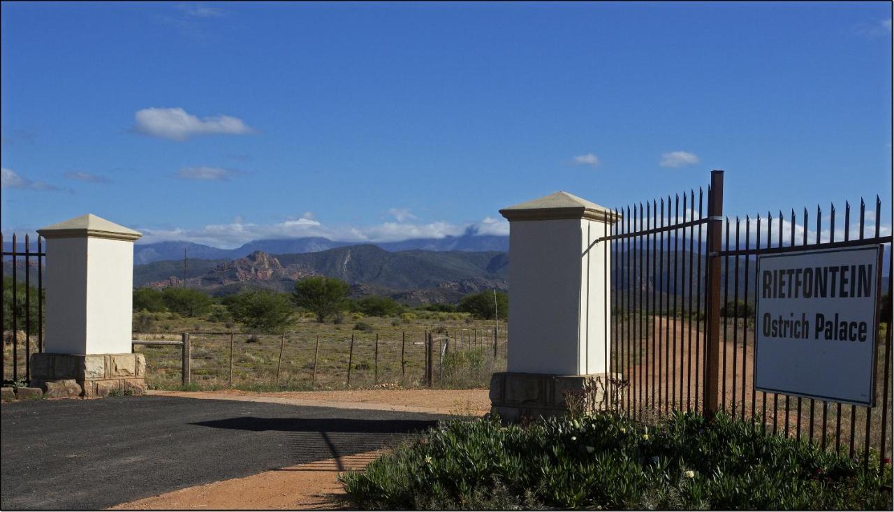 Rietfontein Ostrich Palace photo 2