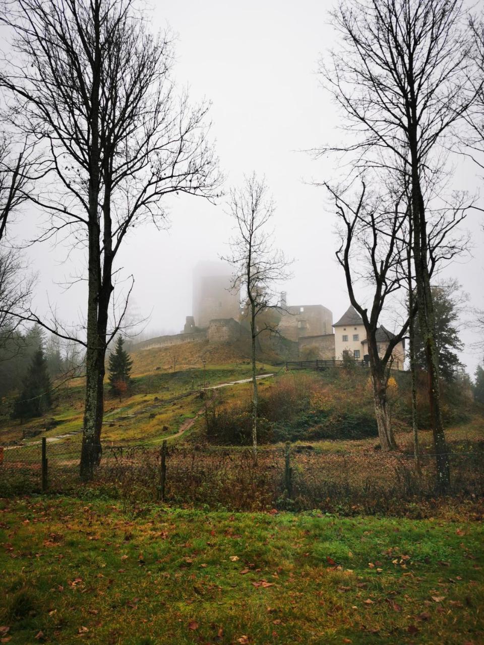 Penzion Landštejnský dvůr photo 3