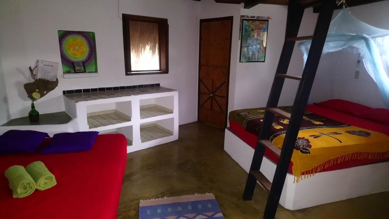 Castillo Oasis photo 2