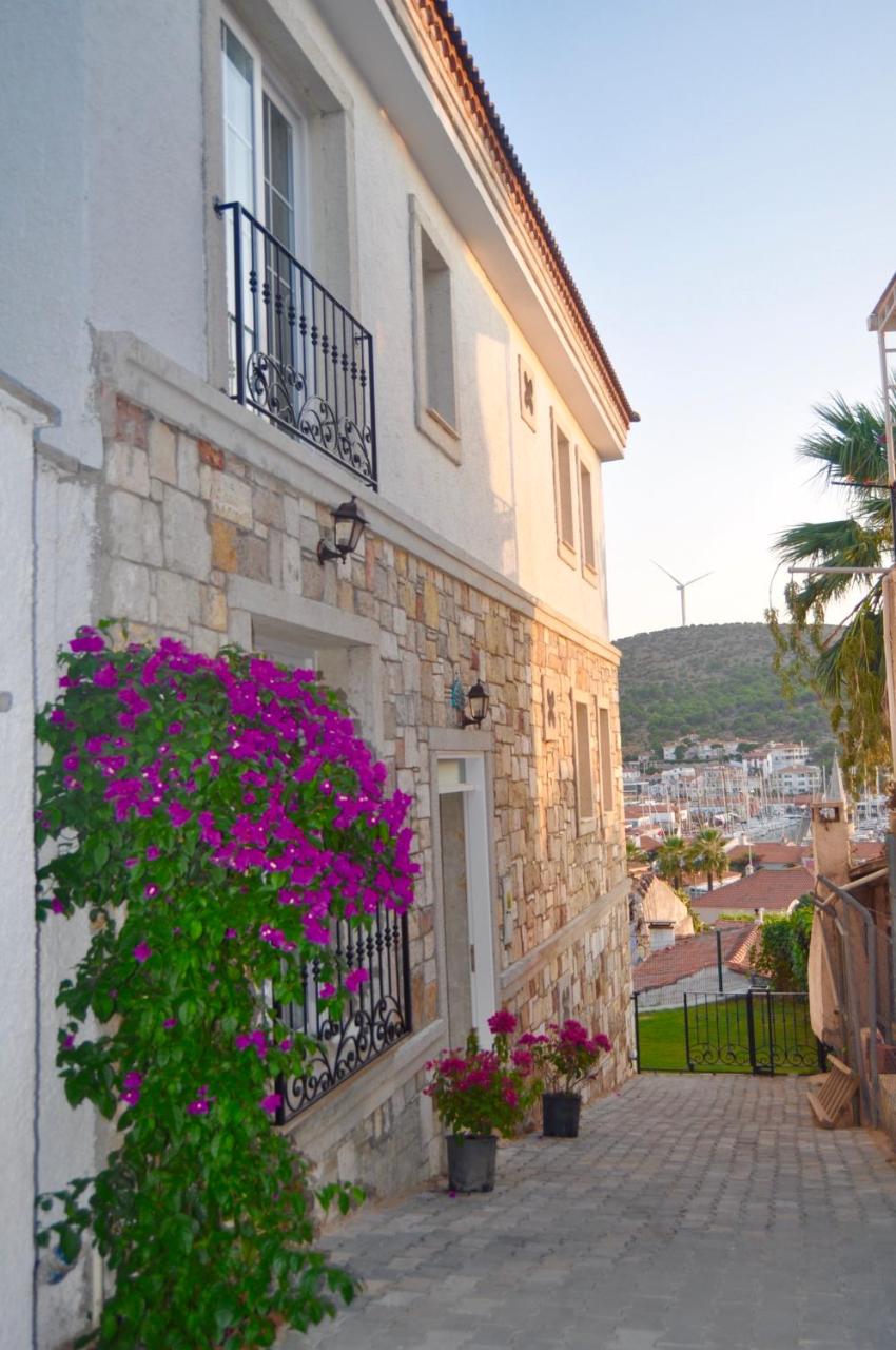 Villa Veria photo 2