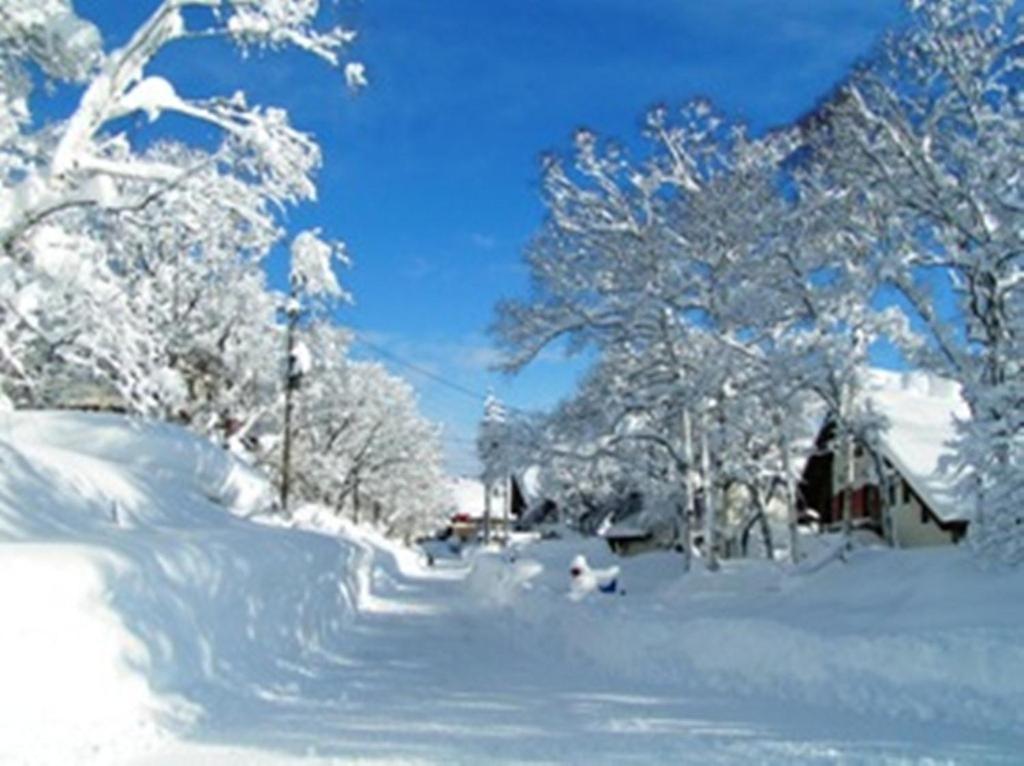Photo - Madarao Elm Pension