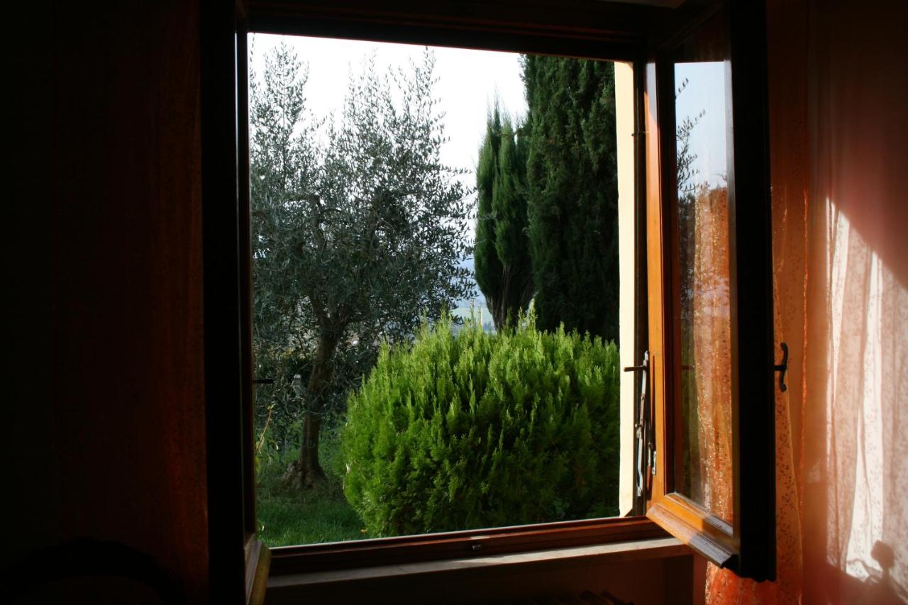 Photo - Hotel Rosati