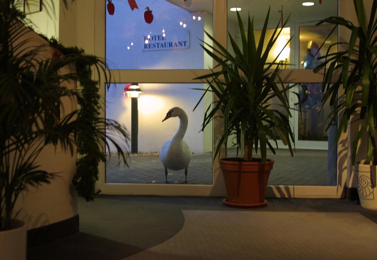 Seehotel Luisenhof photo 2