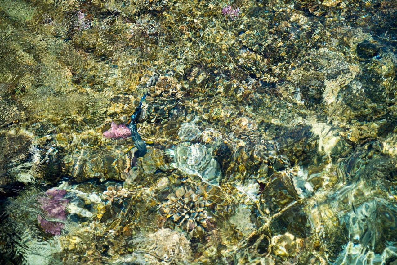 Amphoras Beach - Ultra All Inclusive photo 3