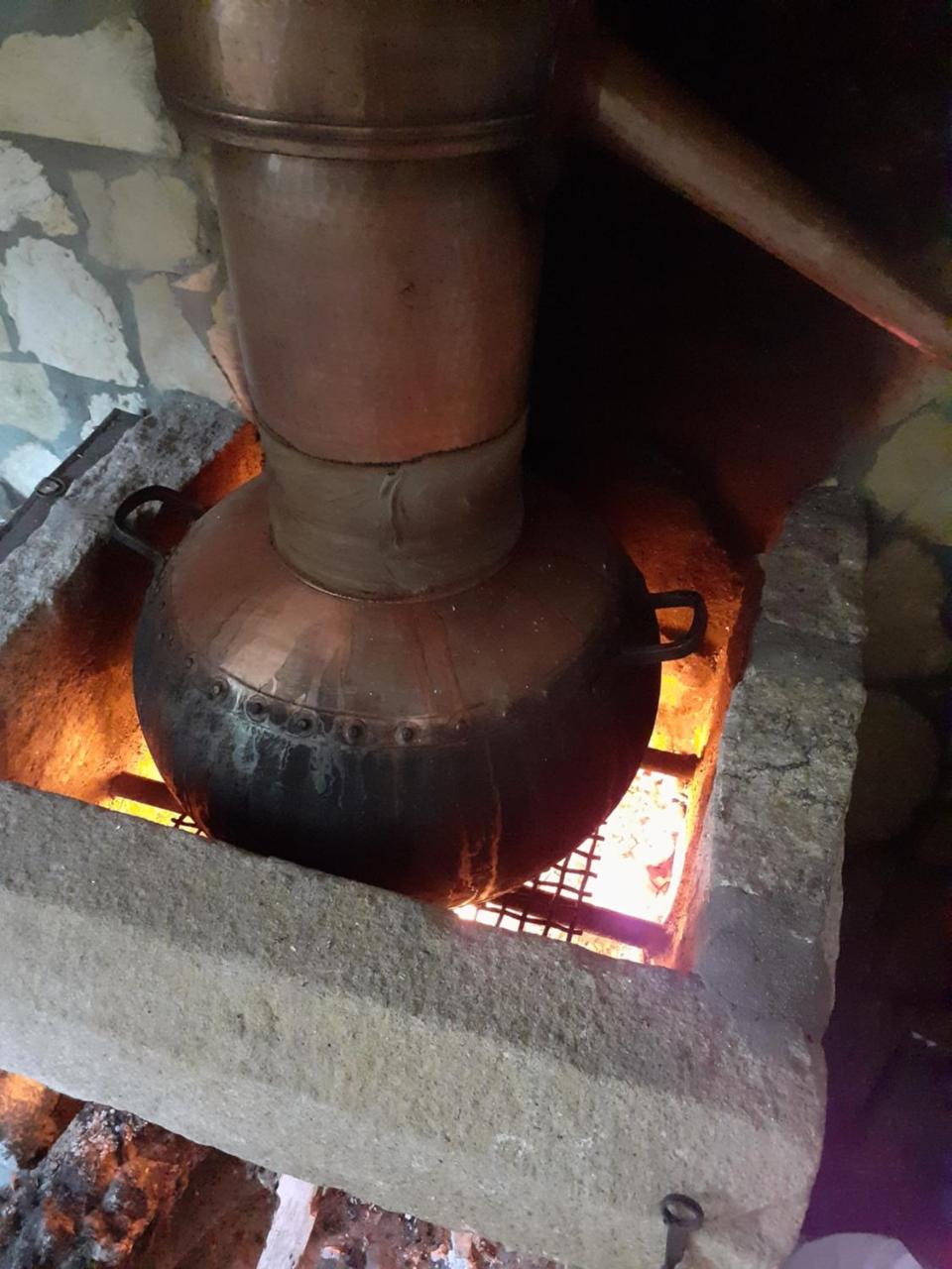 Photo - Aromas dos Salgueiros