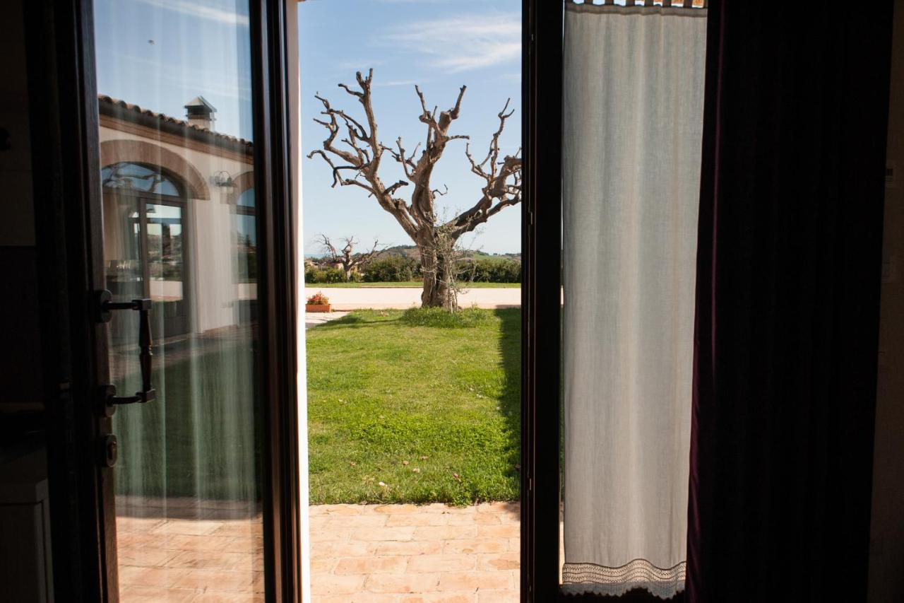 Villa Coralia Agriturismo photo 2