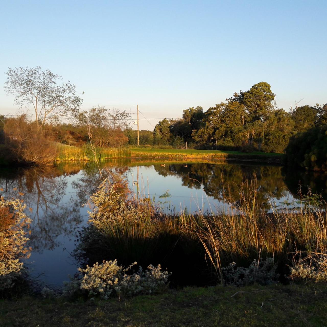 Tenikwa Wildlife Centre & Spa photo 3