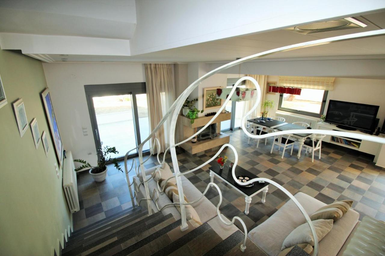 Amoutsa Seaside Villa - 6