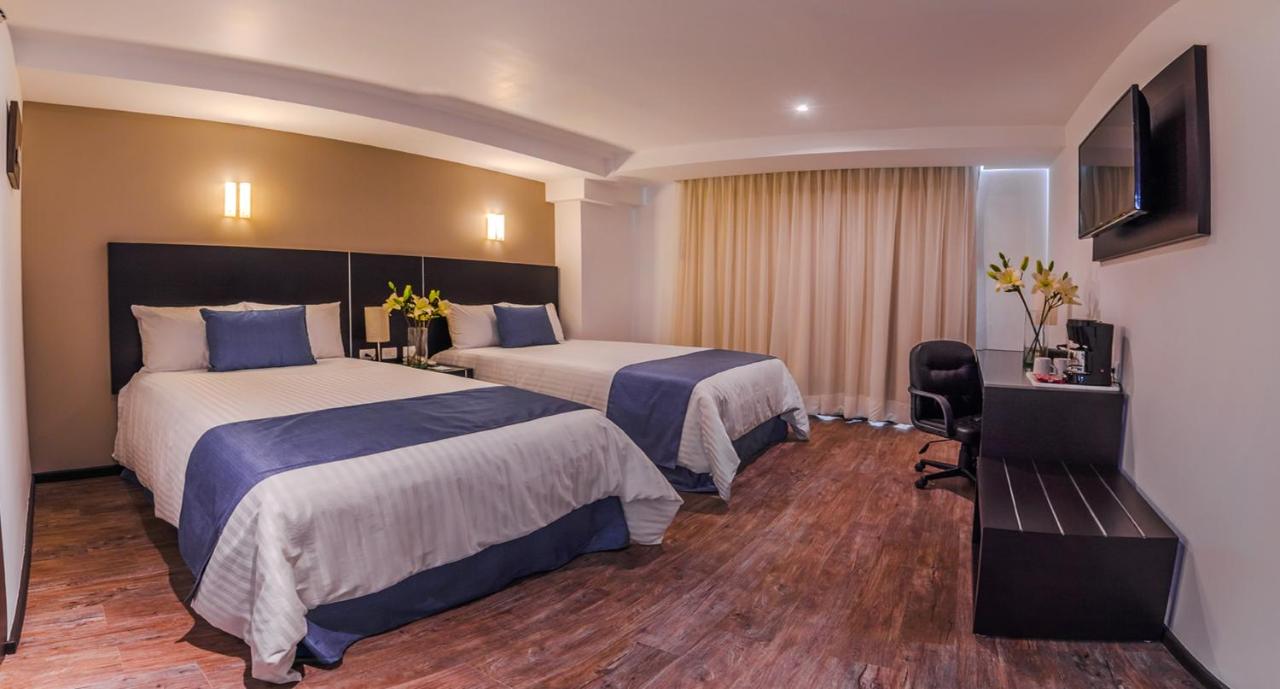 Foto - Hotel Zenith